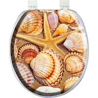 105447     _pict/105447