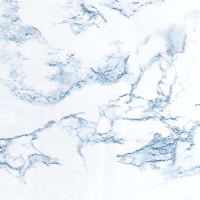 107257     _107257
